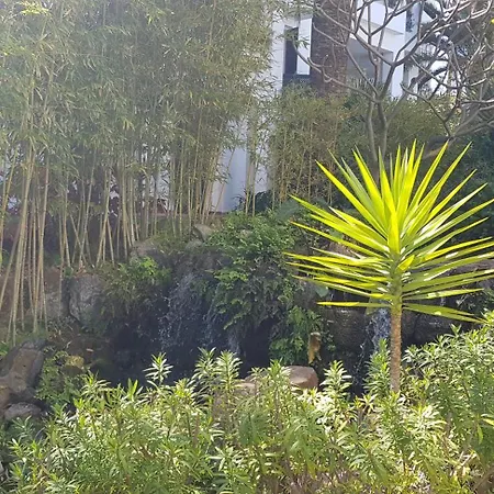 Penthouse In Jardines De Las Golondrinas Apartamento